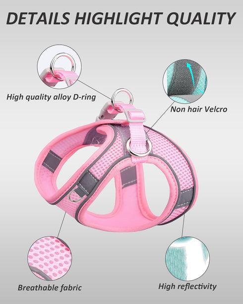 Dog Harness for Small Medium Large Dogs No Pull, Puppy Harness and Leash Set, Puppy Harness for Small Dogs, Step in Harness for Small Dogs, Small ...