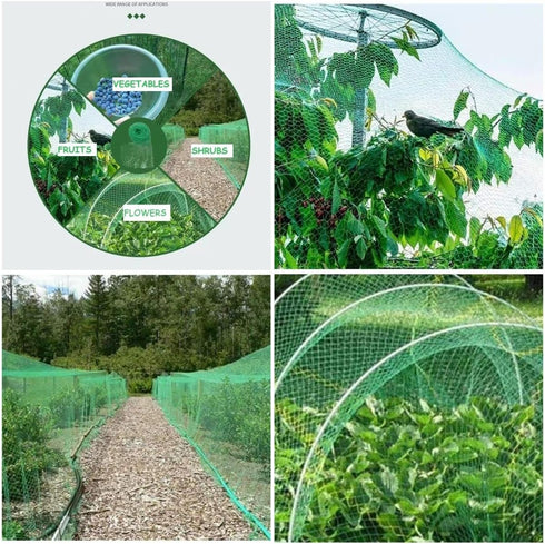 2PCS Bird Netting for Garden 13x20Ft,Protect Vegetable Plants and Fruit Trees,Plastic Trellis Netting for Birds, Deer and Squirrels,Garden Netting...