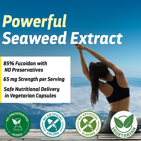 Fucoidan Supplement 65mg 60 Capsules, Brown Seaweed Extract Acts as Antioxidant for Gut Health, Cardiovascular Health and Immune Support, Made in ...