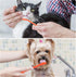 Double Headed Pet Dog Toothbrush for Small Dogs/Soft Bristles Puppy Long Handle Tooth Brush Dogs Teeth Cleaning/Bulk Toothbrushes Dental & Oral Ca...