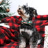 ARING PET Christmas Dog Collar-Green Santa Claus Dog Collar with Bow, Adjustable Cotton Christmas Pet Collars Puppy Collars with Metal Buckle...