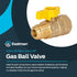 Eastman 5/8 Inch OD Flare x 3/4 Inch FIP Gas Ball Valve, Brass Connectors and Fittings for Natural Gas and Liquid Propane, 60005B...