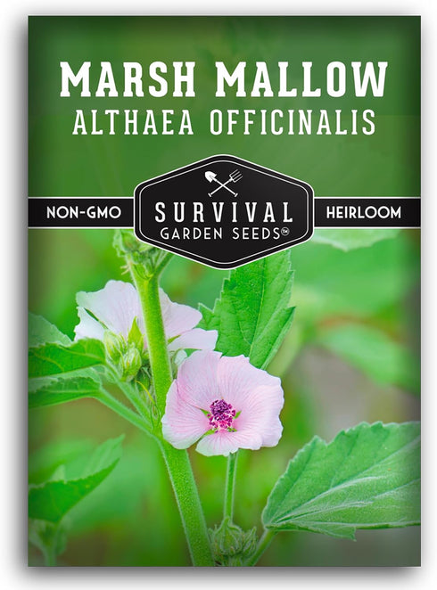 Marsh Mallow Seed for Planting - 1 Packet with Instructions to Plant and Grow Rare Medicinal Flowering Herbs in Your Home Vegetable Garden - Non-G...