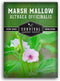 Marsh Mallow Seed for Planting - 1 Packet with Instructions to Plant and Grow Rare Medicinal Flowering Herbs in Your Home Vegetable Garden - Non-G...