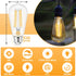 hansang E26 Edison Light Bulbs Dimmable 2700K Warm White, Vintage Edison Bulbs 60 Watt Equivalent LED, 6W Filament Light Bulbs CRI 85+, ST58 LED B...