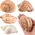 Hermit Crab Shells Large 6pcs,Natural Conch Shell Size 2.8" - 3.8", Opening Size 1.5" - 2.7", Hermit Crab Sand,Hermit Crab Habitat,Large Sea Shell...
