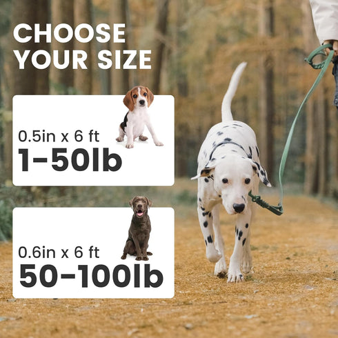 Howgo Leather Dog Leash 6 foot Super Lightweight Military Grade Heavy Duty Dog Leash Soft and Comfortable Leash for Large Medium and Small Dogs Tr...