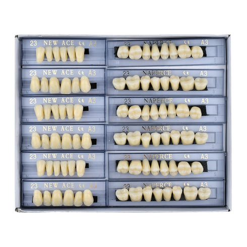168 Pcs Dental Synthetic Resin Tooth Denture 3 Sets False Teeth 23 A3 Upper Lower Shade Dental for Halloween Horror Teeth...