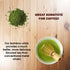 BambooWorx Matcha Whisk Set - (Chasen), Traditional Scoop (Chashaku), Tea Spoon. The Perfect Sets to Prepare a Traditional Cup of Japanese Tea, Ha...