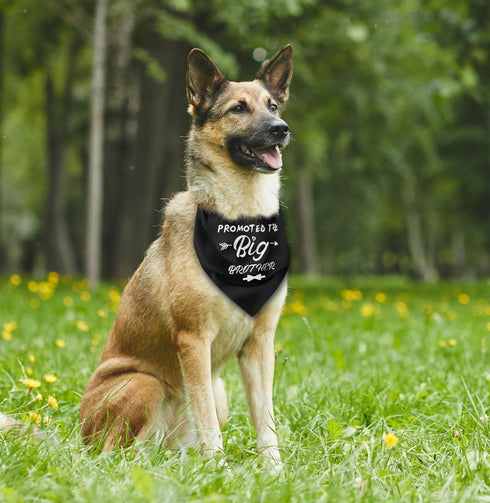 Dog Bandana, Promoted to Big Brother Dog Bandana, Dog Scarf Classical Black Printing, Dog Scarf Accessories, Dog Bandana Pet Scarf, Pet Black Scar...