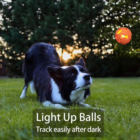 Leejec Dog Toys, 2.5" Interactive Light up Balls, Chew Toys for Medium & Small breed, Rubber Durable Fetch Training Balls, Pet Birthday Gift, 3-Pa...