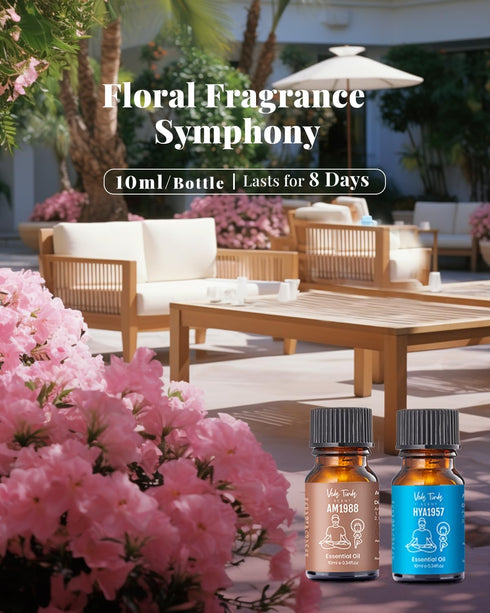 VTS Waterless Diffuser with Hotel Scent Essential Oils Set, Top 6 Aromatherapy Oil Blends for Diffusers, Essential Oil Diffuser Gift Set, Home Fra...