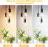 Svater Vintage LED Edison Bulbs, 6W Equivalent 60W, High Brightness Neutral White 4000K, ST58 Antique LED Filament Bulbs with 85+ CRI, E26 Medium ...