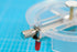 LION Ev-R-Round Perfect Circle Cutter , 3/4" to 6-3/4" Diameter (C-1500)...