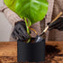 8 Pcs Plant Pots for Pond Plant Baskets Heavy Duty Fabric Pots Black Nonwoven Fabric Plant Pot Breathe Reusable Grow Pots for Pond, Garden, Aquati...