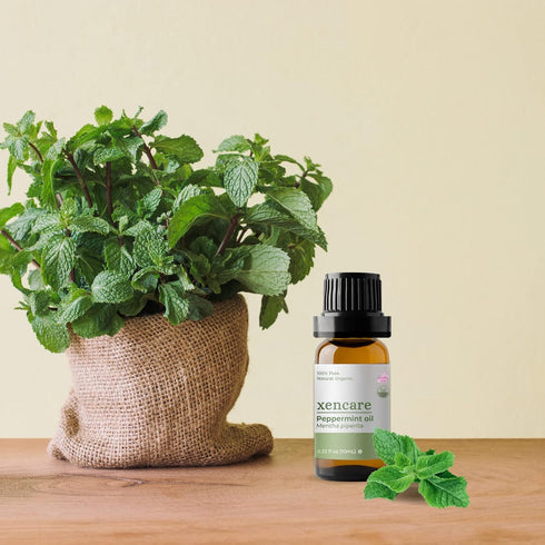 Peppermint USDA Organic Food Grade Essential Oil | 100% Pure Natural Undiluted | Edible & Safe to Ingest & for Skin | Premium Aromatherapy for Dif...