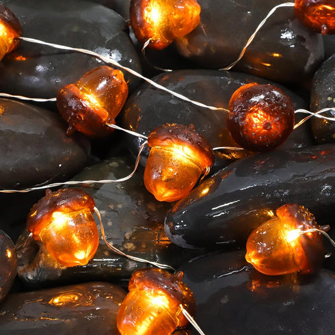 Fall Decor 3D Acorn String Lights 10ft 30 LEDs Battery Operated with Remote Timer Dim Brown Fairy Lights Indoor for Autum Harvest Home Party Tree ...