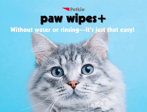 Paw Wipes Plus, 100 Orange Scented Wipes - Absorbent Pet Paw Wipes Remove Daily Dirt & Odors - Enriched with Paw Balm Protectant - Easy to Use Pet...