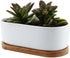 T4U 6.5 Inch Ceramic White Modern Oval Design Succulent Plant Pot/Cactus Plant Pot with Free Bamboo Tray...