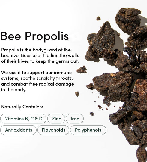Propolis Throat Spray by Beekeeper's Naturals - 95% Bee Propolis Extract, Natural Immune Support & Sore Throat Relief - Antioxidants, Keto, Paleo,...