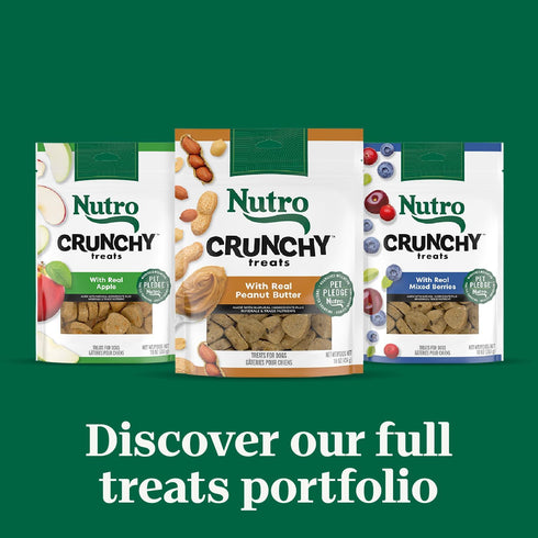 NUTRO Crunchy Dog Treats with Real Apple, 10 oz. Bag...