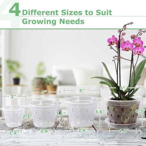 Orchid Pot,3 4 5 6 Inch 8 Pack Orchid Pots with Holes and Saucers,Clear Plastic Flower Plant Pot for Indoor Outdoor Plants,Slotted Orchids Planter...