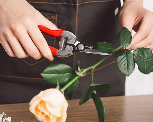 Pruning Shears Garden Tools Shears Lasting Sharp Labor-Saving for Trimming Plants Fruit Branches Shrub and Flower Suitable for Parks and Courtyard...