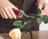 Pruning Shears Garden Tools Shears Lasting Sharp Labor-Saving for Trimming Plants Fruit Branches Shrub and Flower Suitable for Parks and Courtyard...