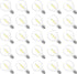 Jslinter 5000K Daylight G40 LED String Light Bulbs Replacement, 1W(11W Equivalent), 60LM, Shatterproof, E12 Screw Base, Vintage Edison Bulbs for P...