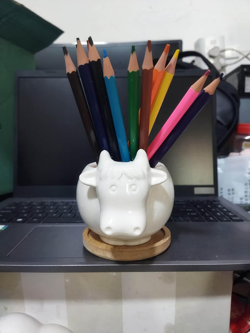 Cuteforyou Succulent Pots,Cute Cartoon Ceramic Succulent Cactus Flower Pot,Pencil Holders,Desk Accessories, Makeup Brush Storage Stand-Plant Not I...