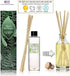 Urban Naturals Cucumber Sea Salt Reed Diffuser Oil Refill Kit | Fresh, Crisp Cucumber, Agave Leaves & Sea Salt | Essential Oil Room Scent + Replac...