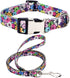 Puppy Collar and Leash Set for Daily Outdoor Walking Running Training, Design for Extra Small Boys Girls Dogs Cats Pets, (Colorful Daisies M)...