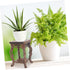 Potted Plant Shelf 2pcs Base Supplies Round Wooden Office Flower Pot Holder Shelf...