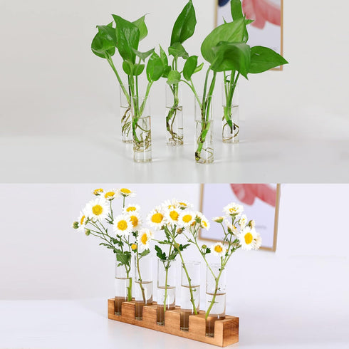 Propagation Stations Terrarium with Wooden Stand,Desktop Glass Vase Plant Holder for Hydroponics Water Plants Cutting,Home Garden Office Decor,Pla...
