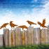 5PCS Rusty Birds Decoration, Outdoor Fence Decorations, Lifelike Metal Birds Silhouette Craft Statue Ornaments Funny Bird Decor Garden Yard Art, F...