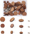 Pandahall 18 Pairs Flat Round Walnut Wood Earring Studs 3 Sizes Wooden DIY Making Kits with Stainless Steel Ear Nuts for Handmade Earrings...