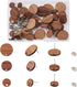 Pandahall 18 Pairs Flat Round Walnut Wood Earring Studs 3 Sizes Wooden DIY Making Kits with Stainless Steel Ear Nuts for Handmade Earrings...