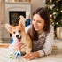 Small Dog Ball, Interactive Dog Toys Ball,Squeaky Dog Toys Ball,Glow in The Dark Ball for Training Teeth Cleaning Herding Balls Indoor Outdoor Saf...