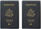 Set of 2 Heavy Duty Clear Vinyl Plastic Passport Cover Holder Travel MADE IN USA...
