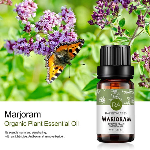 Rainbow Abby Marjoram Essential Oil 100% Pure Organic Plant Natural Flower Essential Oil for Diffuser, Massage, Sleep - 10ML...