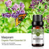 Rainbow Abby Marjoram Essential Oil 100% Pure Organic Plant Natural Flower Essential Oil for Diffuser, Massage, Sleep - 10ML...