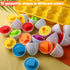 HANSGO 12PCS Matching Eggs shape sorter toy for toddlers 1-3 Educational Toy for Kids Baby Easter Toy Eggs for Boys Girls...