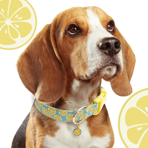 Faygarsle Cute Dog Collar for Girls Boy Dogs Soft Fancy Pet Collar with Lemon Design Ideal Yellow Green Summer Dog Collar for Small Medium Large D...