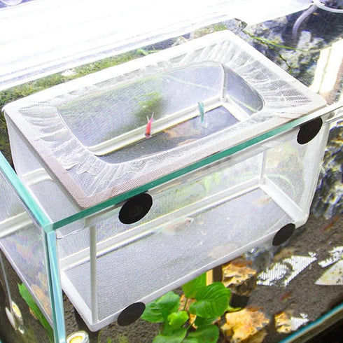 Large Breeder Net for Fish Tank Fish Hatchery Separation Net Mesh Fish Breeding Box with Suction Cup for Aquarium...