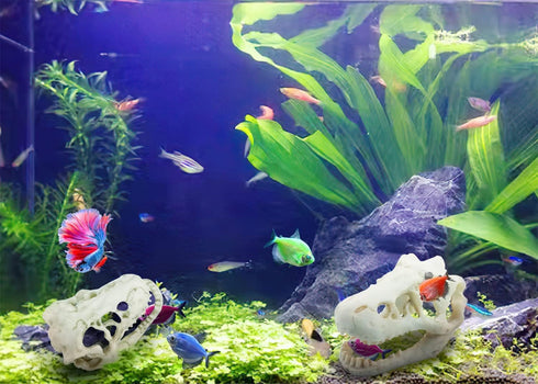 2Pcs Aquarium Decoration Small Resin Dinosaur Skull Skeleton Fish Tank Aquarium Aquarium Cave Pet Reptile House Decoration...