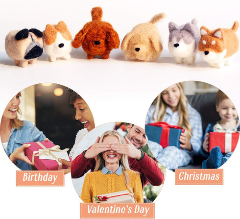 WILLBOND 10Pcs Needle Felting Kit Animals Doll Making Wool Needle Felting Starter Kit with Instruction DIY Handmade for Adult Friends Birthday Gif...