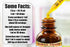 Hops Alcohol-Free Liquid Extract, Organic Hops (Humulus Lupulus) Dried Flower Glycerite Hawaii Pharm Natural Herbal Supplement 2 oz...