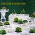 12 Pieces Cactus Tealight Candles Handmade Delicate Succulent Cactus Candles for Party Wedding Spa Home Decoration Gifts (Stylish Style)...
