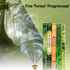 Hem Incense Forest Cedar Pine Rain Forest First Rain 5 x 20, 100 Sticks…...