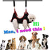 Dog Grooming Hammock Harness,Breathable Pet Cat Hammock Restraint Bag,Dog Grooming Sling Helper for Trimming Nail and Ear/Eye Care(S Size,8.5")...